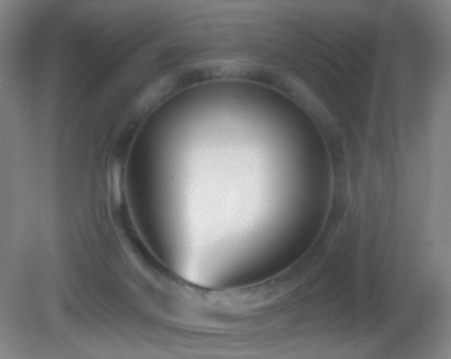 X0000082930022200702011251