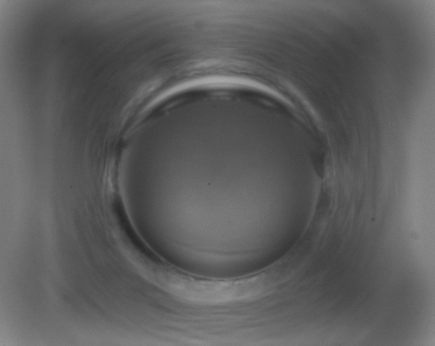 X0000082930023200702011251