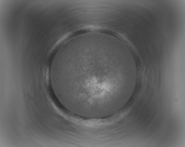 X0000082930024200702011251