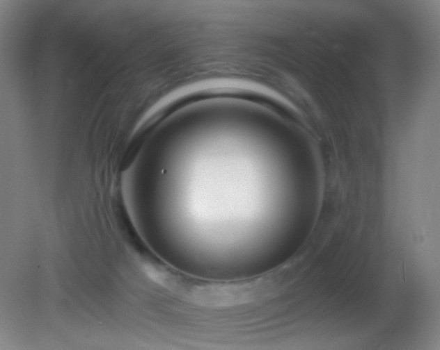 X0000082930025200702011251