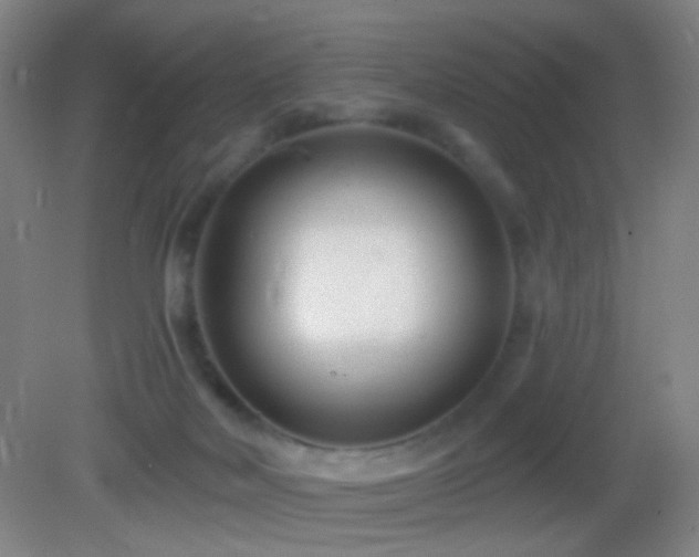 X0000082930026200702011251