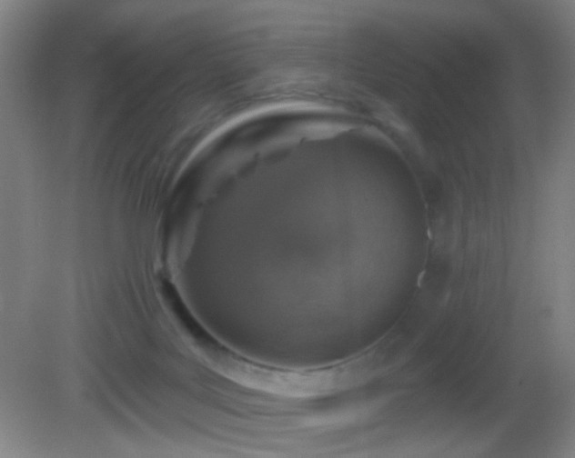 X0000082930027200702011251