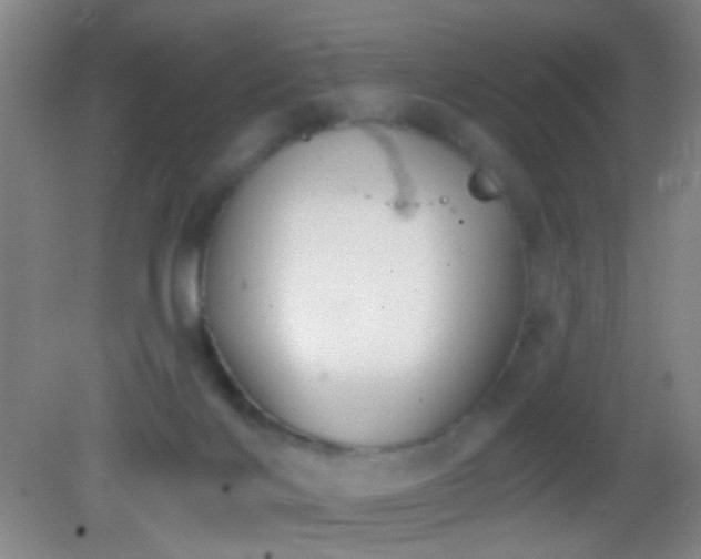 X0000082930028200702011251