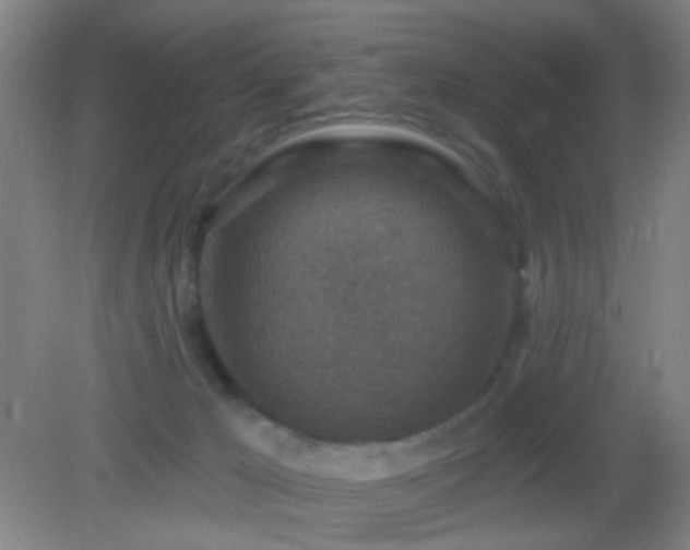 X0000082930029200702011251