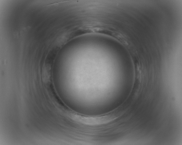 X0000082930030200702011251