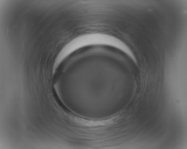 X0000082930031200702011251