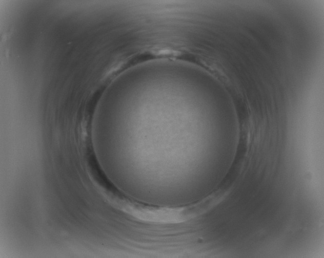 X0000082930032200702011251