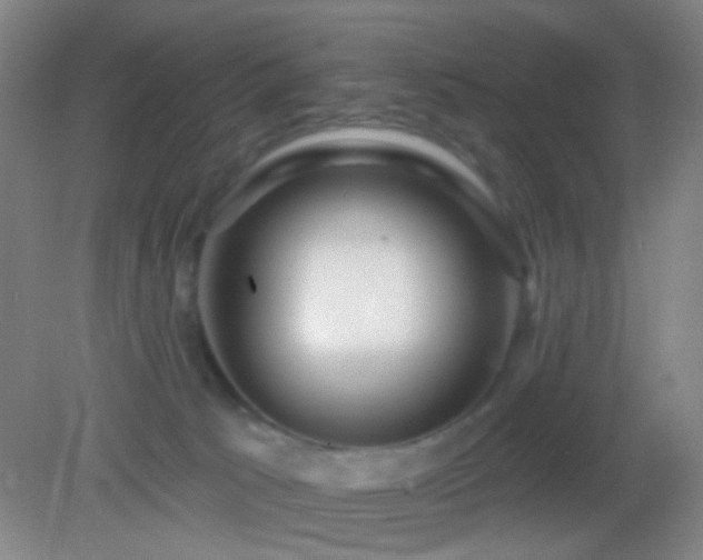 X0000082930033200702011251