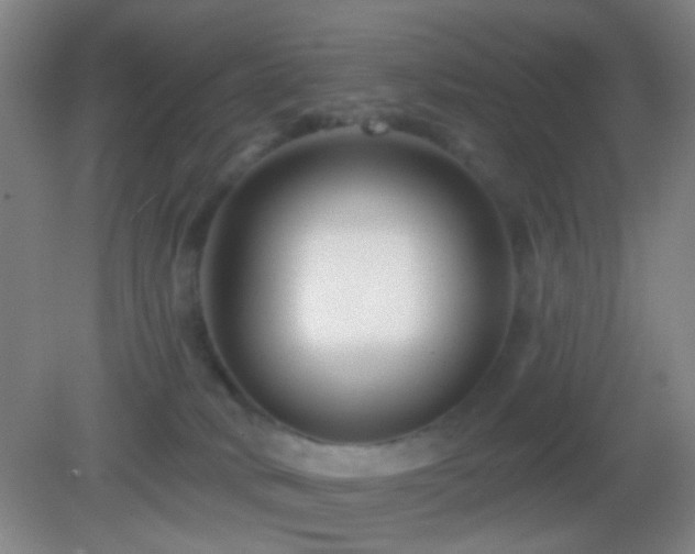 X0000082930034200702011251