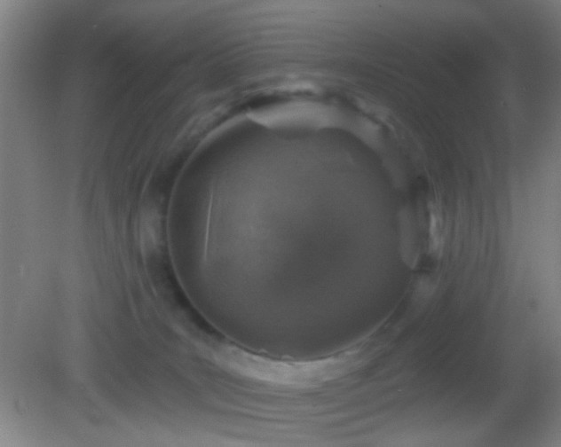 X0000082930035200702011251