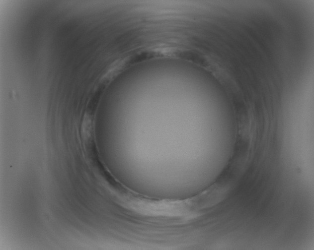 X0000082930036200702011251