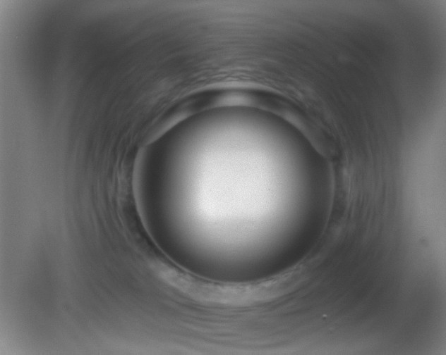 X0000082930037200702011251