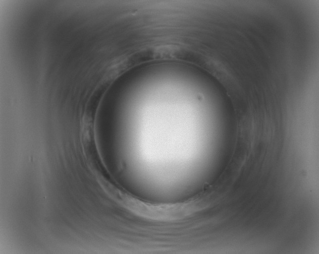 X0000082930038200702011251