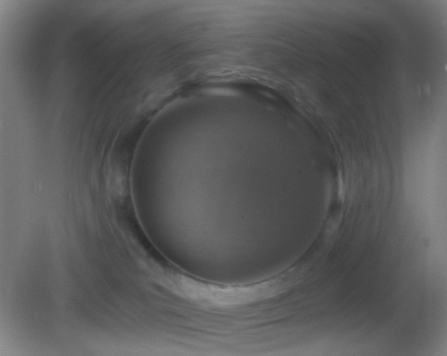 X0000082930039200702011251