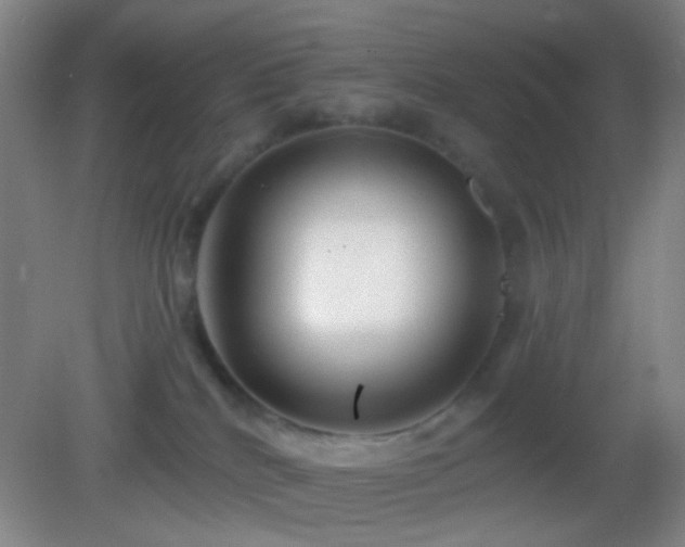 X0000082930040200702011251