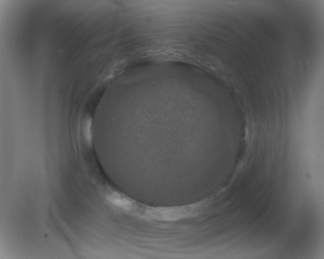 X0000082930041200702011251