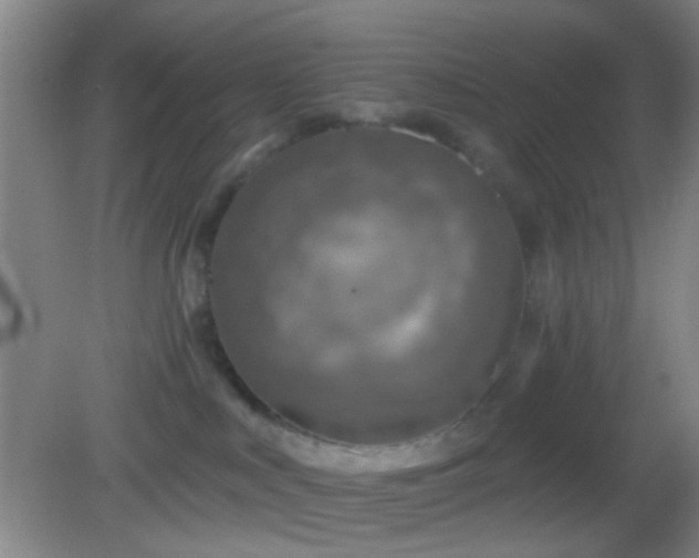 X0000082930043200702011251