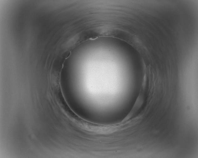 X0000082930044200702011251