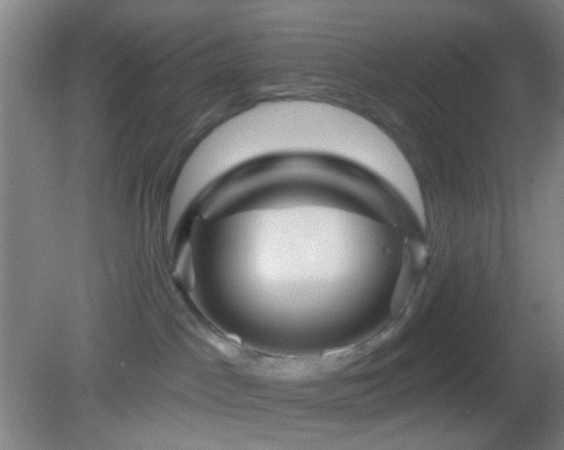 X0000082930045200702011251