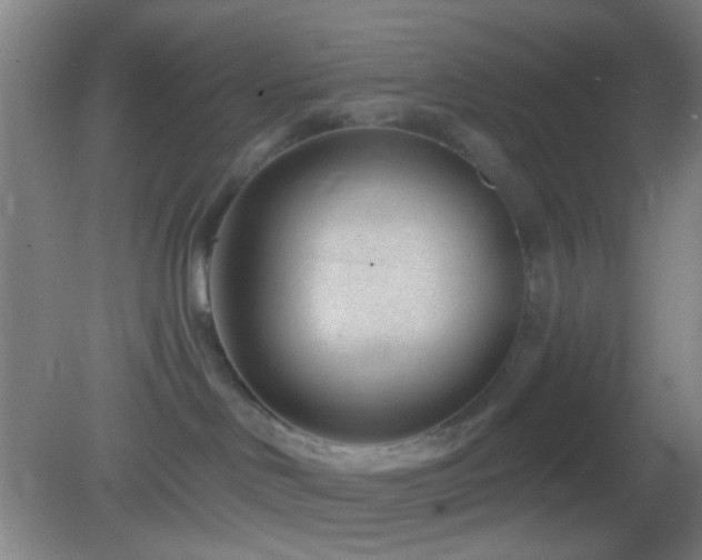 X0000082930046200702011251