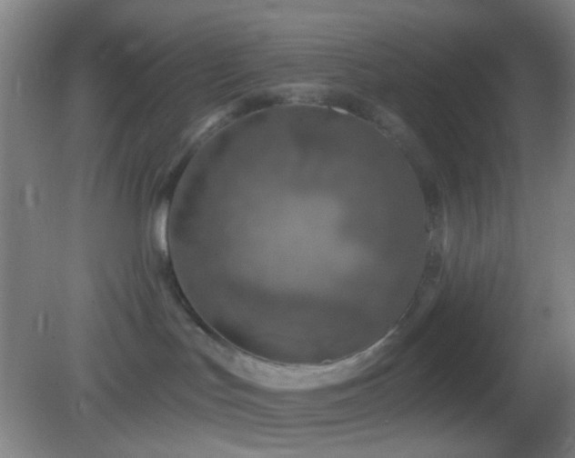 X0000082930047200702011251