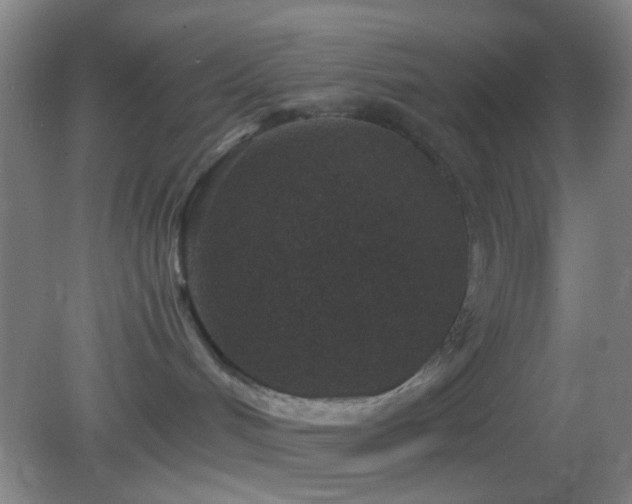 X0000082930048200702011251