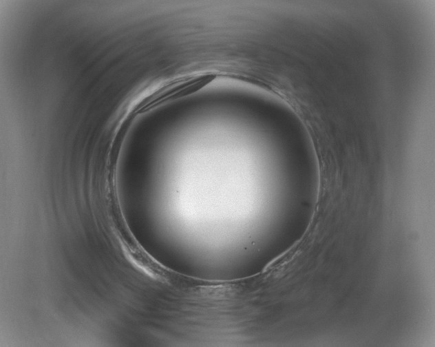 X0000082930050200702011250