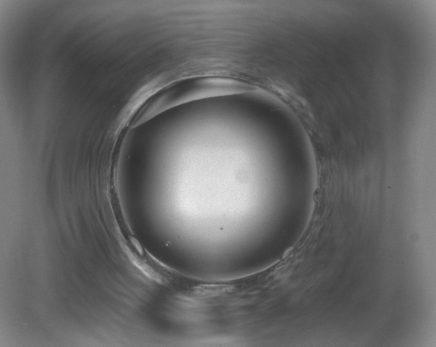 X0000082930051200702011250