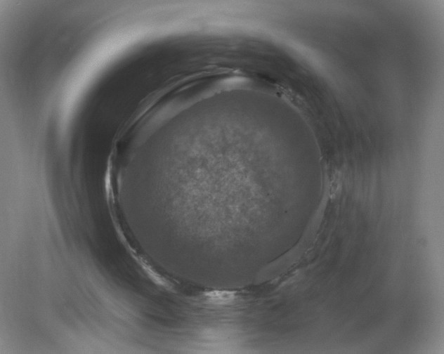 X0000082930052200702011250