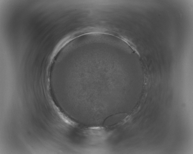 X0000082930053200702011250