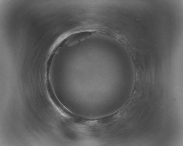 X0000082930054200702011250