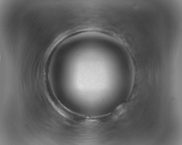 X0000082930055200702011250