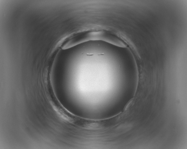 X0000082930058200702011250