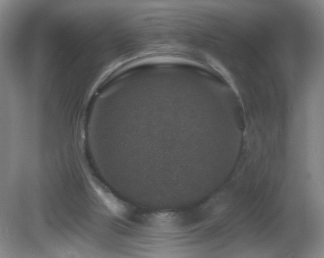 X0000082930059200702011250