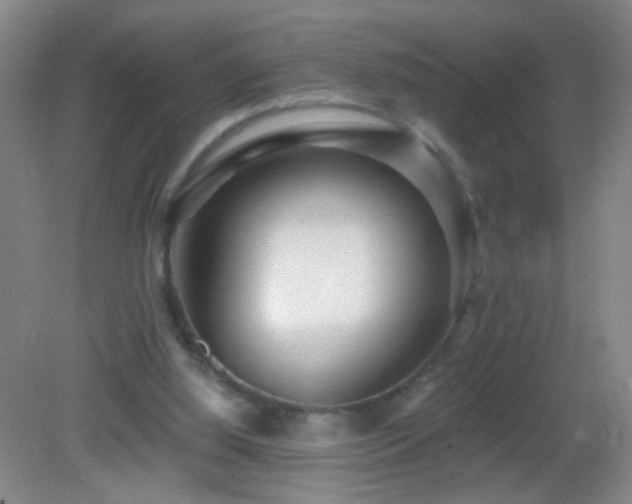 X0000082930060200702011250