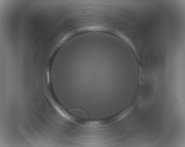 X0000082930061200702011250