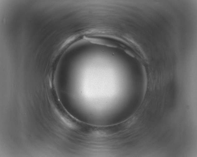 X0000082930062200702011250