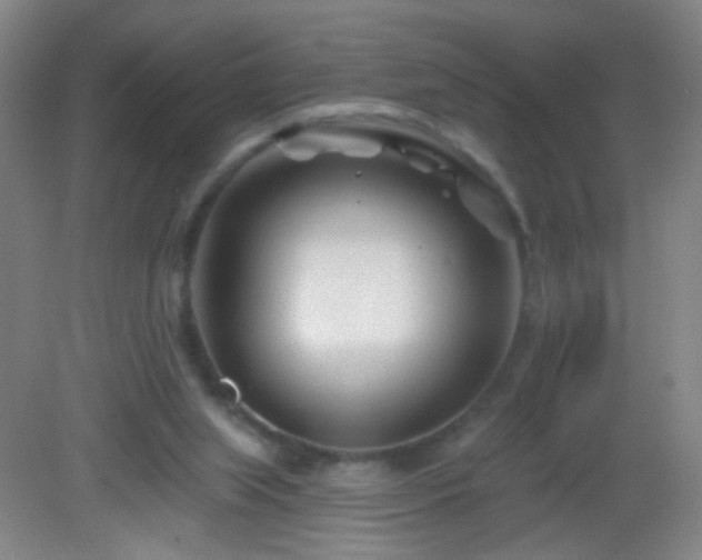 X0000082930063200702011250