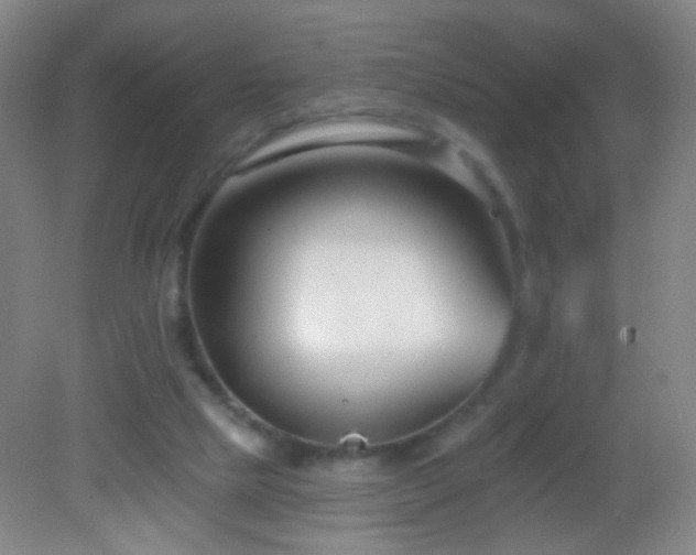 X0000082930065200702011250