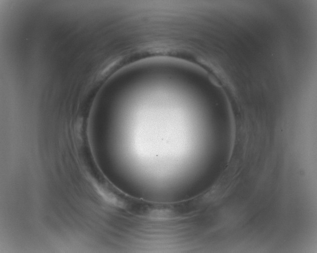 X0000082930066200702011250