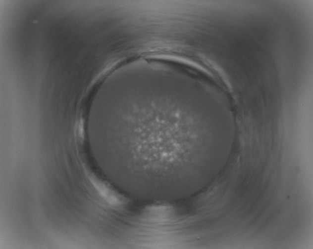 X0000082930067200702011250