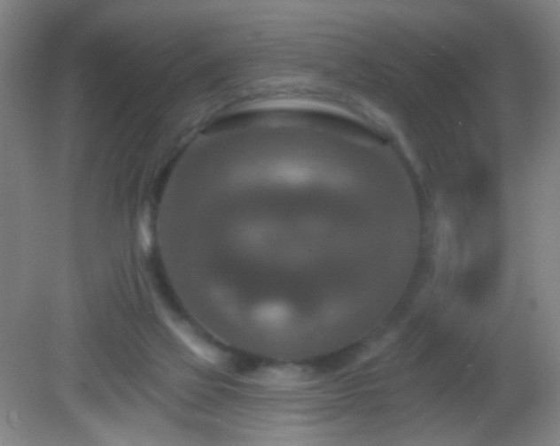 X0000082930069200702011250