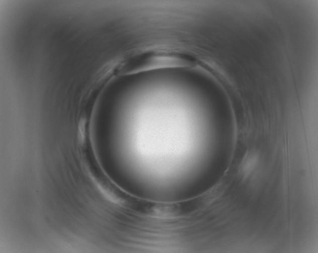 X0000082930070200702011250