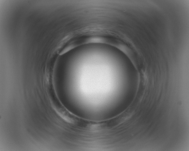 X0000082930072200702011251