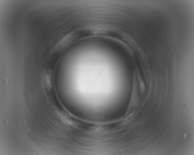 X0000082930074200702011251