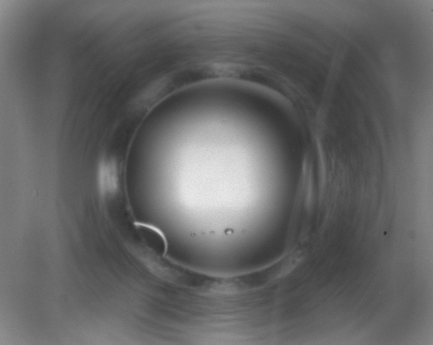 X0000082930075200702011251