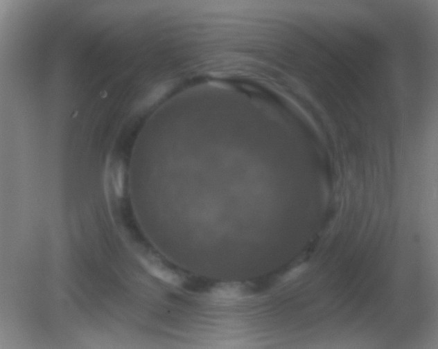 X0000082930076200702011251