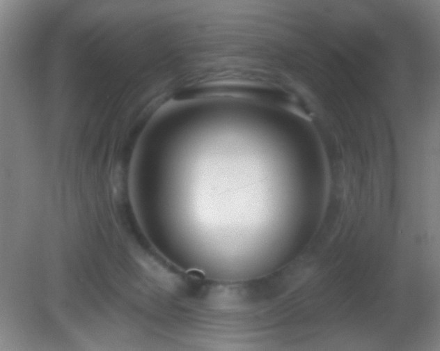 X0000082930077200702011251