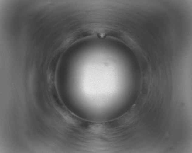 X0000082930079200702011251