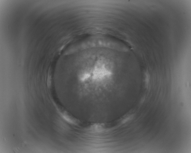 X0000082930080200702011251